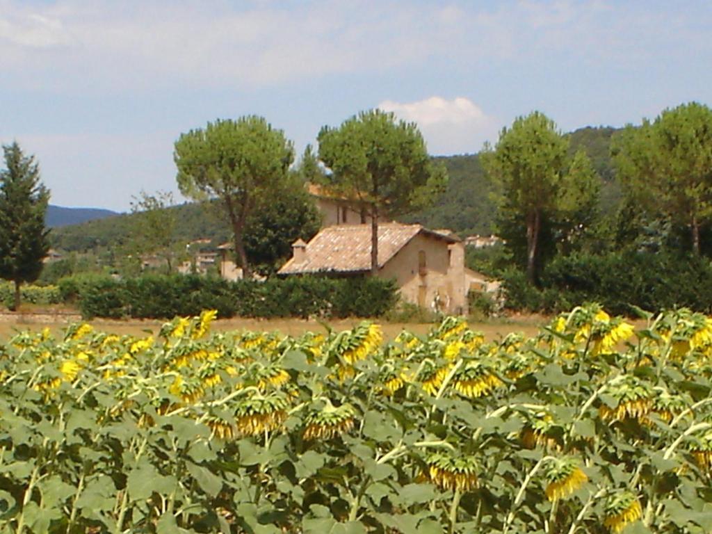 Casale Il Colombaio Di Toiano Hostal Sovicille Exterior foto